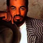 El texto musical PARTY ANIMAL de JAMES INGRAM también está presente en el álbum It's your night (1983)