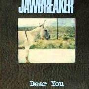 El texto musical SHIRT de JAWBREAKER también está presente en el álbum Dear you (1995)