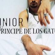 El texto musical PRÍNCIPE DE LOS GATOS de JUNIOR MIGUEZ también está presente en el álbum Príncipe de los gatos (2003)