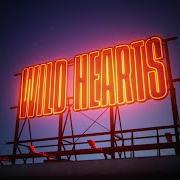 El texto musical NIGHTFALLS de KEITH URBAN también está presente en el álbum Wild hearts (2022)