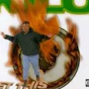El texto musical REAL BASS de KILO también está presente en el álbum Get this party started (2002)