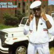 El texto musical 50 WAYS de KOOL MOE DEE también está presente en el álbum How ya like me now (1987)