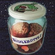 El texto musical EINSATZ IN AMSTETTEN de ALKBOTTLE también está presente en el álbum Trivialkbottle (1997)