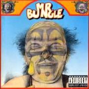 Mr. Bungle