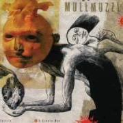 Mullmuzzler
