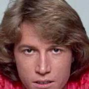 Andy Gibb