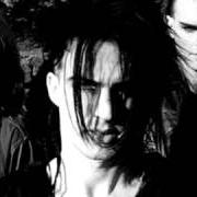 Skinny Puppy