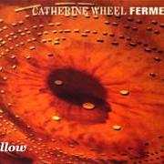 Catherine Wheel