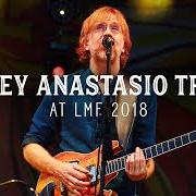 Trey Anastasio