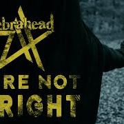 Zebrahead