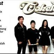 Cokelat