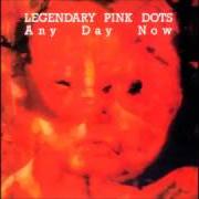 The Legendary Pink Dots