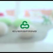 Everspring