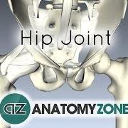 Hipjoint