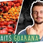 Guarana