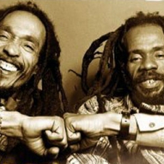 Israel Vibration