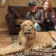 Living With Lions