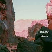 Bonobo