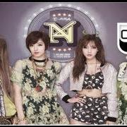 T-Ara N4