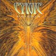 Cynic