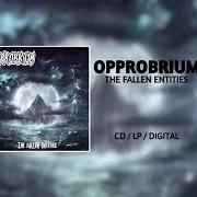 Opprobrium