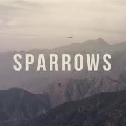 Sparrows