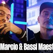 Mondo Marcio E Bassi Maestro