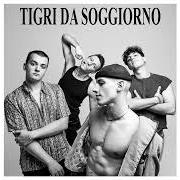 Tigri Da Soggiorno