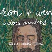 Iron & Wine